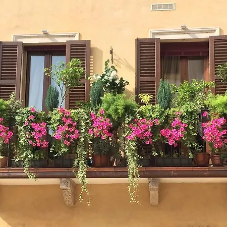 Mela Verona